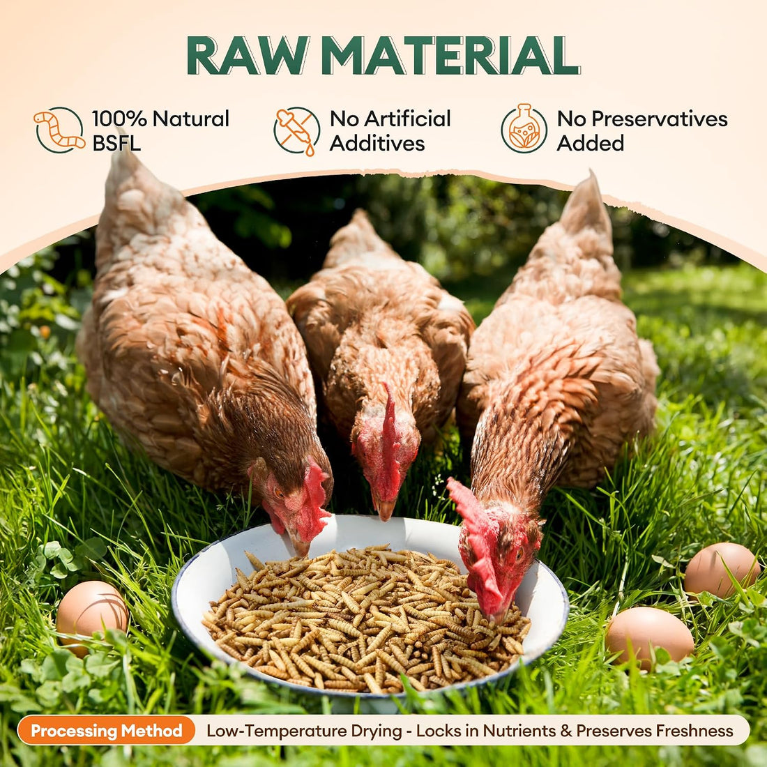 BUCATSTATE Dried Black Soldier Fly Larvae for Chickens and Ducks