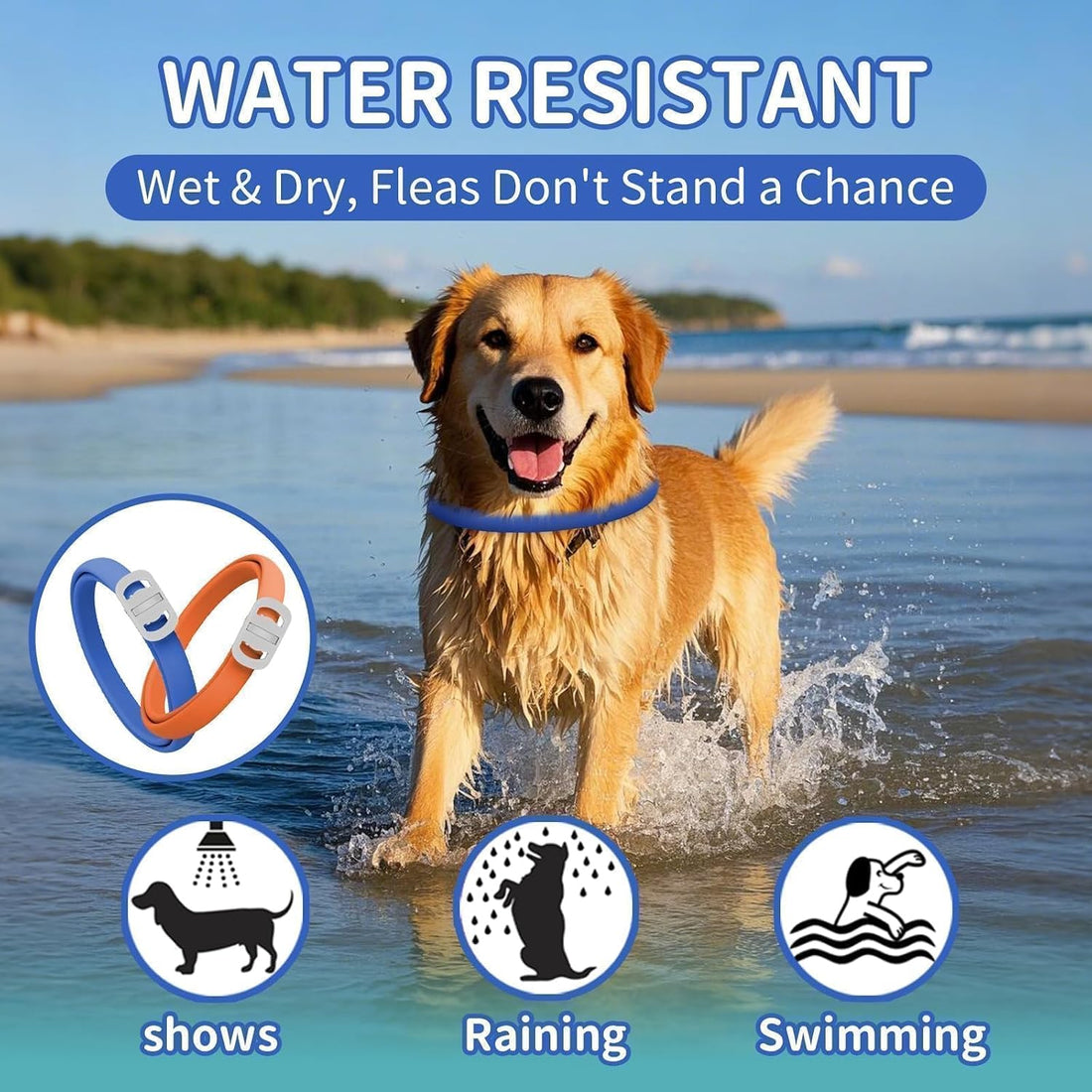 Dog Flea and Tick Collar 4 Pack
