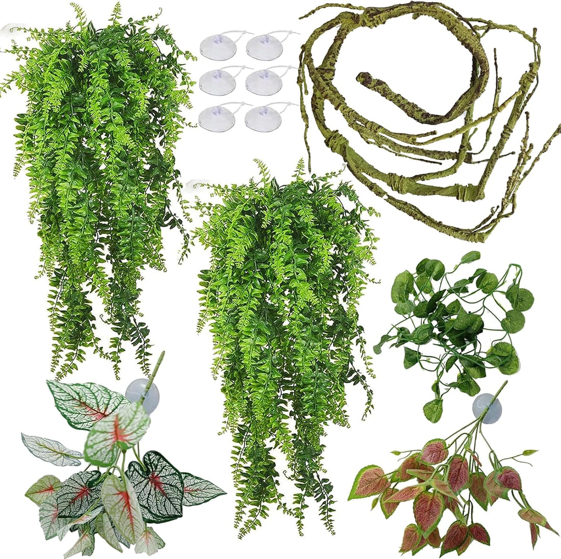 Reptile Plants for Bearded Dragon Tank Accessories