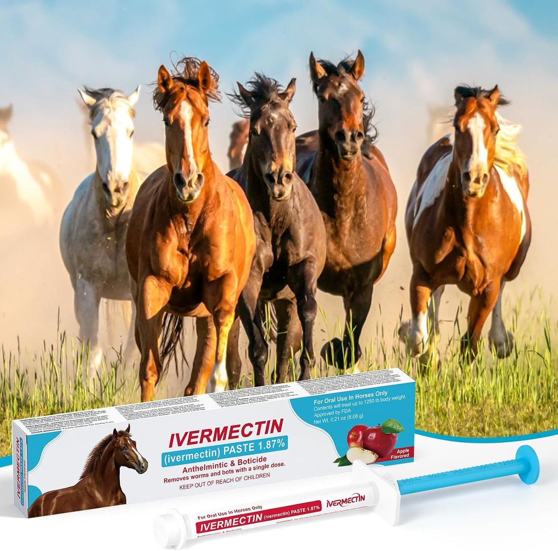 Ivermect Horse Paste 1.87%, for Horse Use Only, 6.08g, 1 Pack