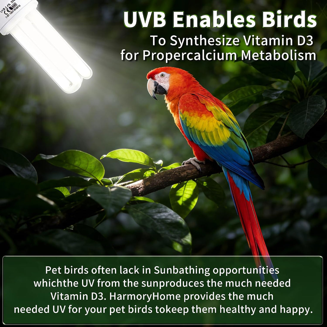 HarmonyHome Bird Cage UVB Light Combo Kit