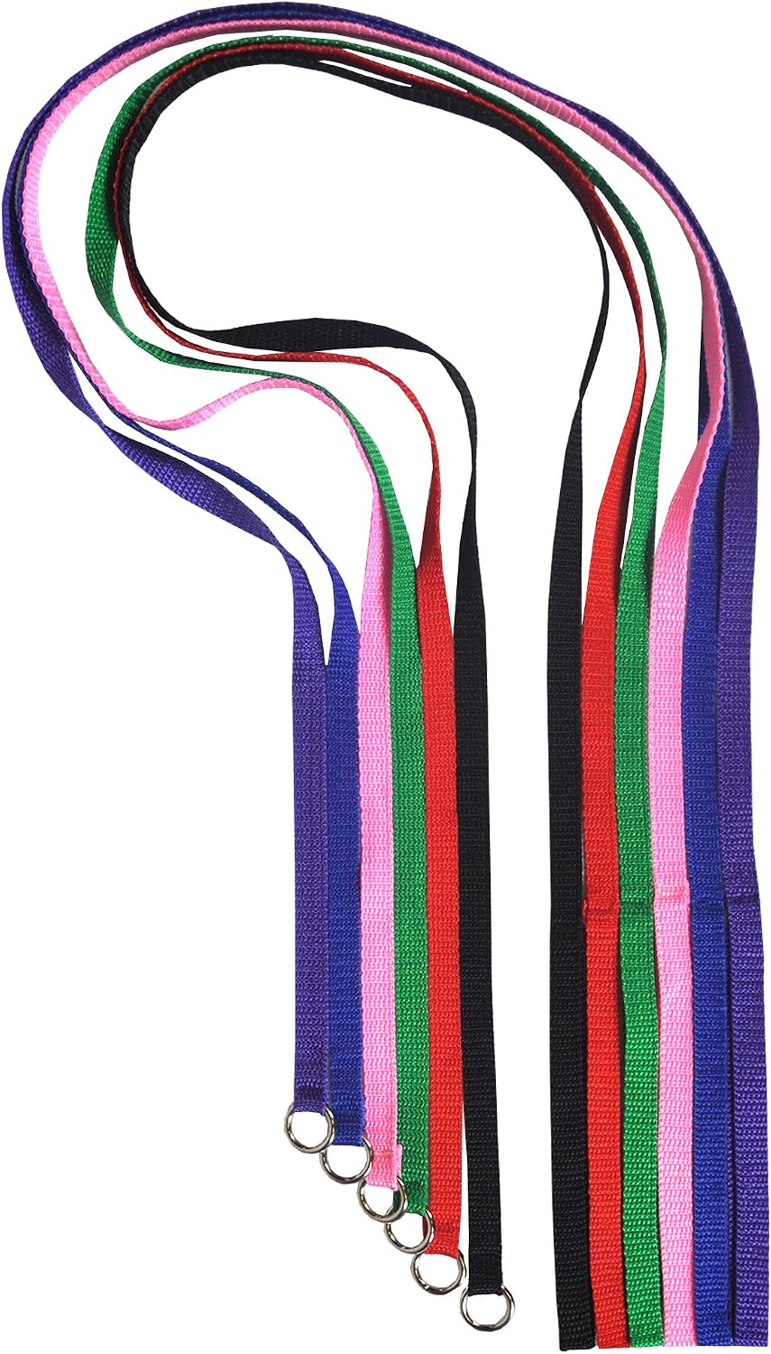 Downtown Pet Supply Slip Lead Dog Leash 6 Pack, 4' x 1/2"