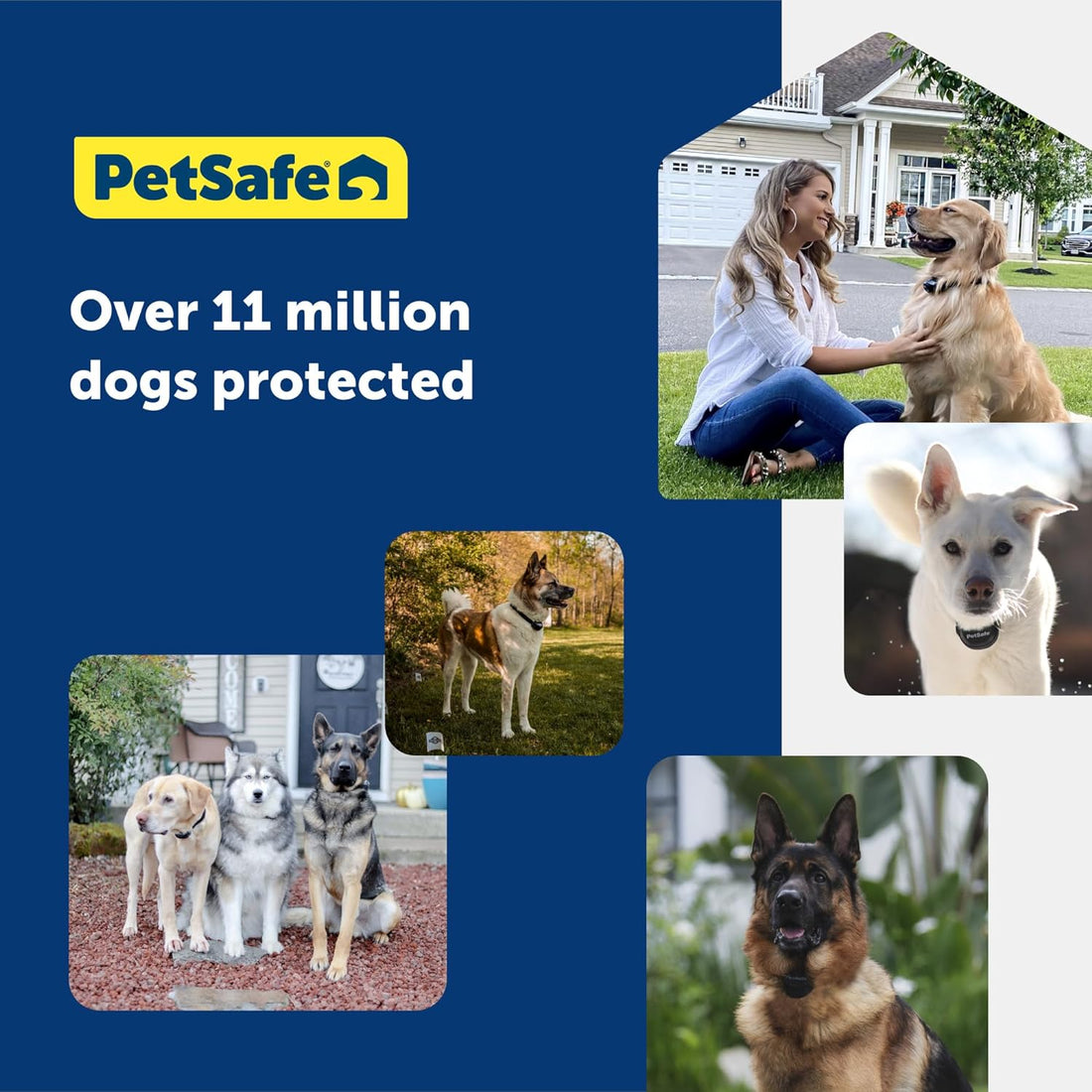 PetSafe Stubborn Dog Pet Fence Receiver Collar Only