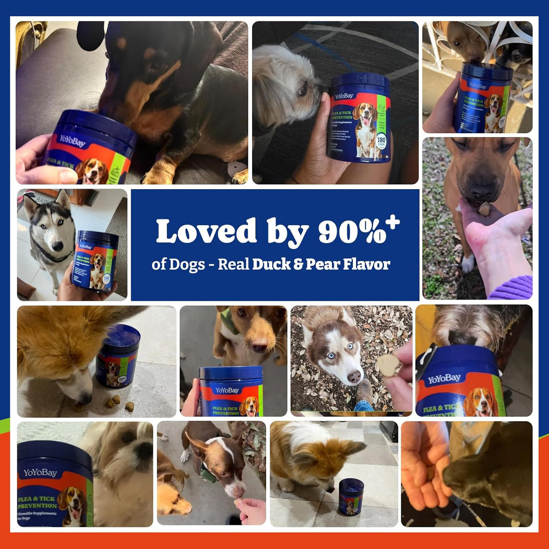 Flea & Tick Prevention for Dogs Chewables,Dog Immune Support
