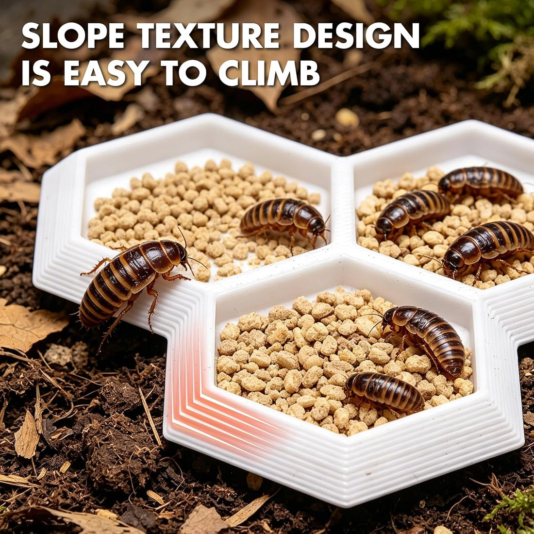 3 in 1 Dubia Roach Large Feeder Bowl, 6 PCS Isopod Food Dish