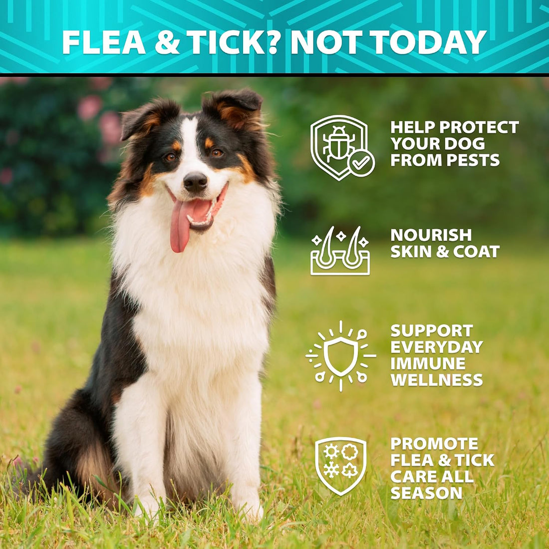 Flea and Tick Prevention for Dogs - 120 Treats