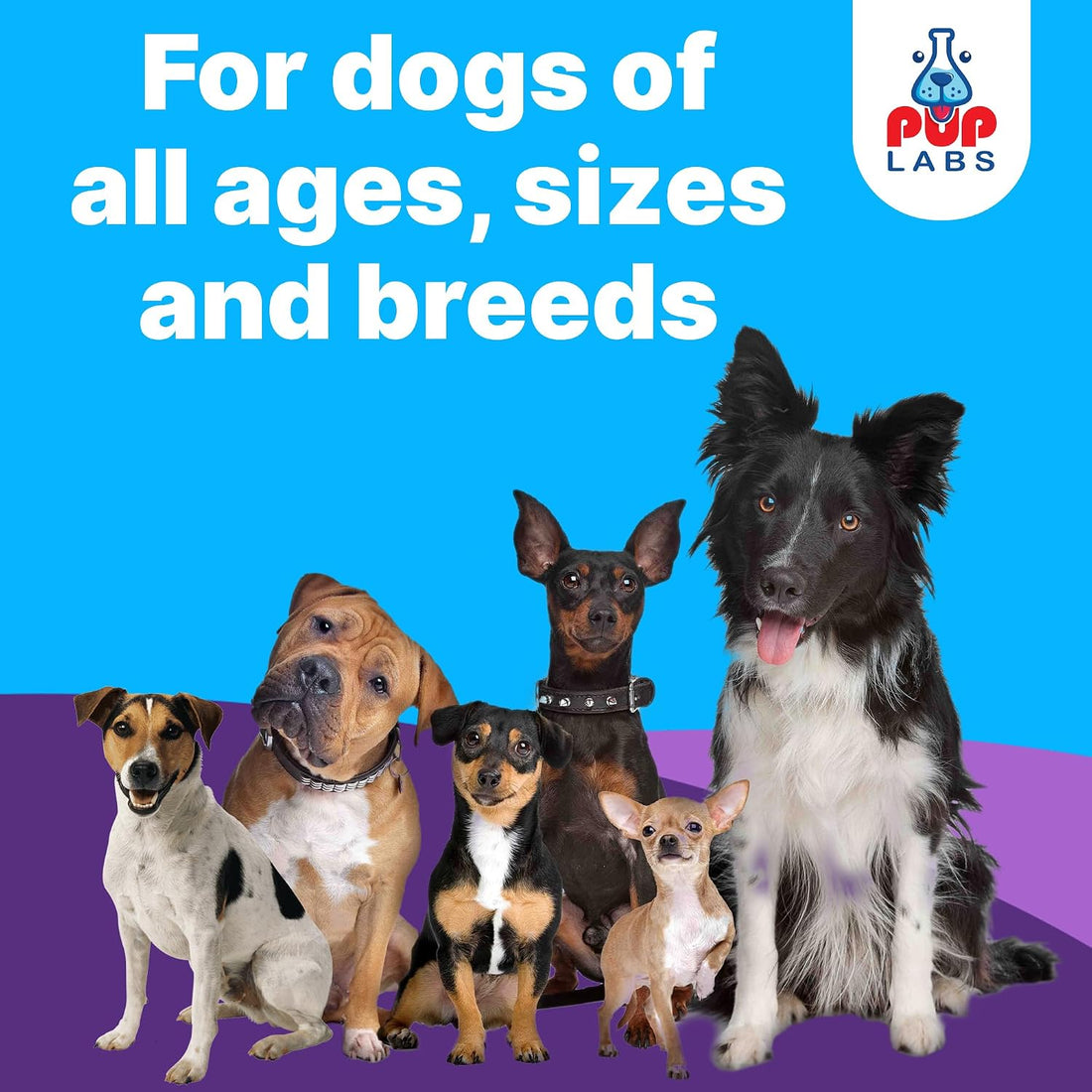 Freedom Joint Drops for Dogs with Hyaluronic Acid, MSM, Glucosamine