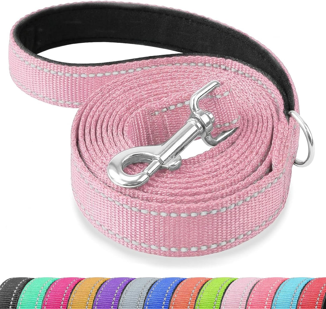 Reflective Dog Leash with Padded Handle for Medium Large Dogs