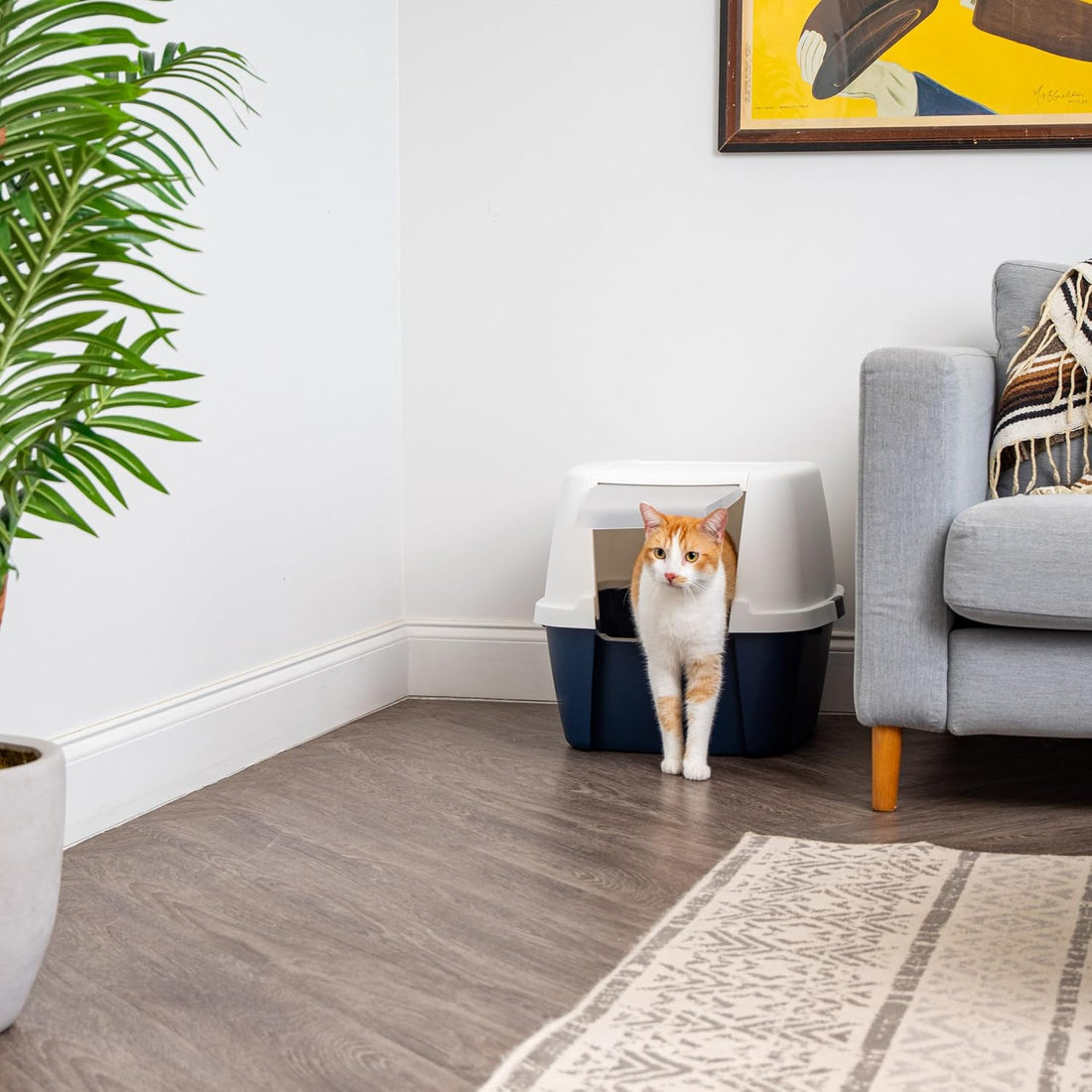 IRIS USA Large Front Door Cat Litter Box, Walk-in Entry