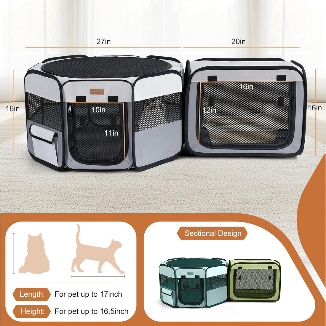 Want to Give Your Kittens & Puppies a Safe