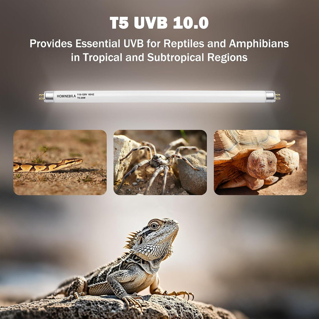 T5 10.0 UVB Reptile Light Bulb, 24W 22" 2-Pack for Bearded Dragon