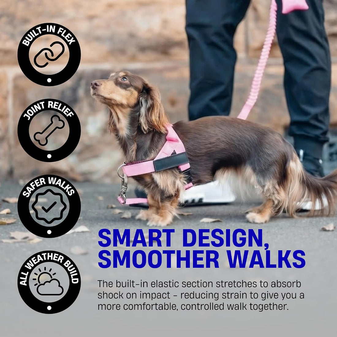 Dog Friendly Co. Bungee Dog Leash