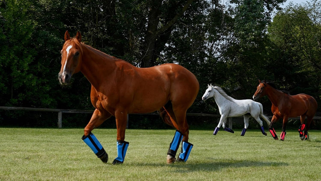 Warrior Fly Boots for Horses