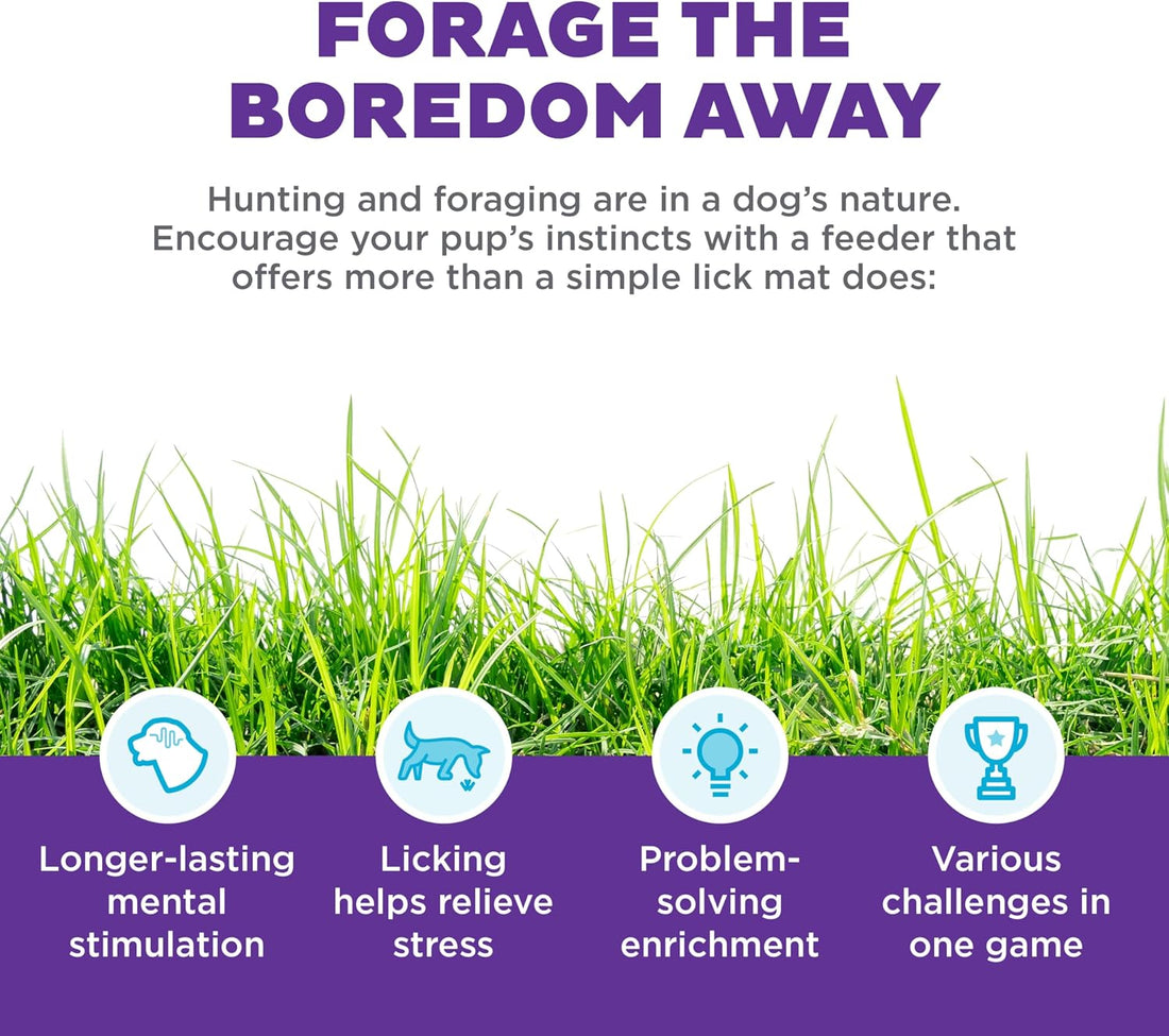 Outward Hound by Nina Ottosson Lickin’ Layers 3-in-1 Interactive Dog