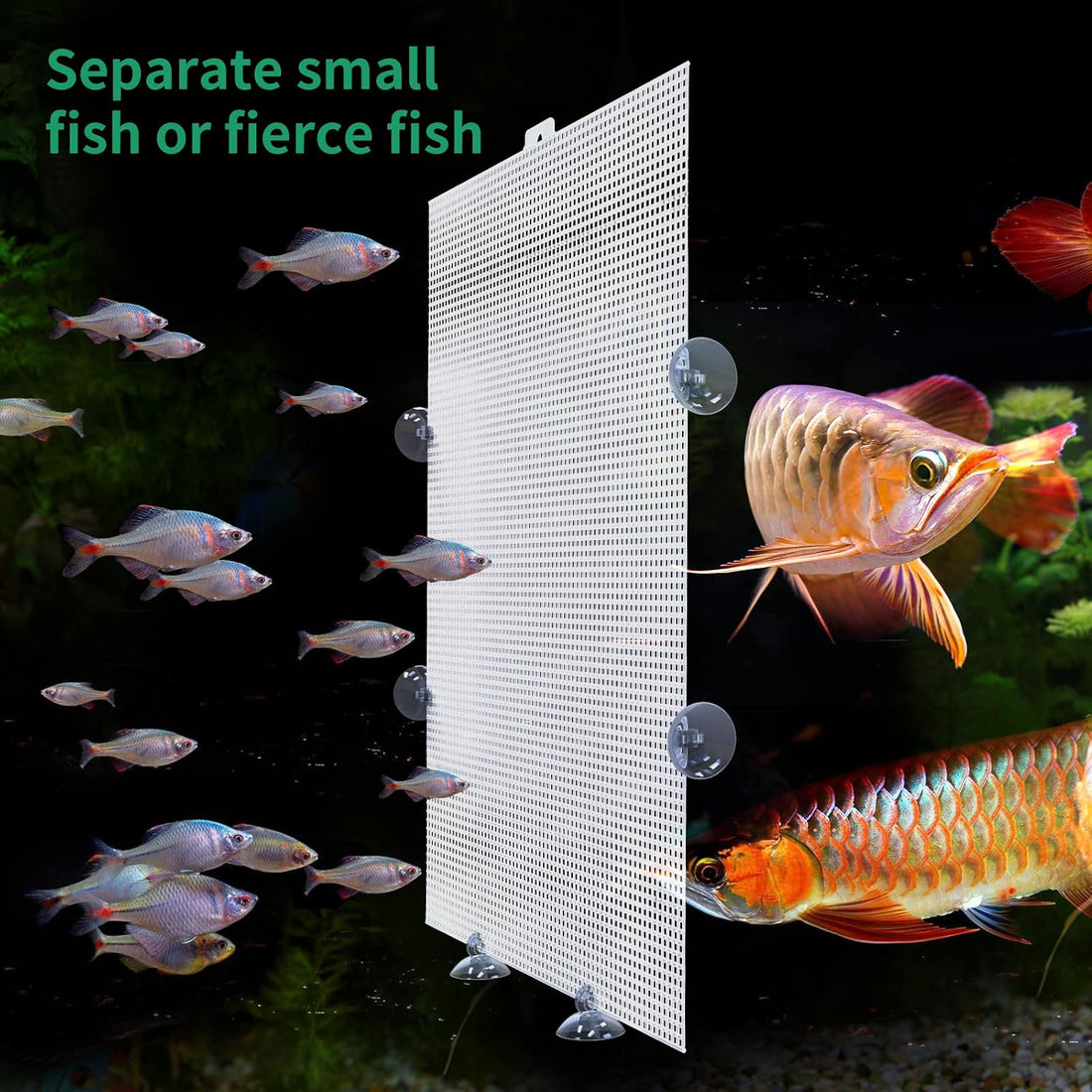 2 Pack Fish Tank Divider, Plastic Grid Cuttable Grid Plate Fish
