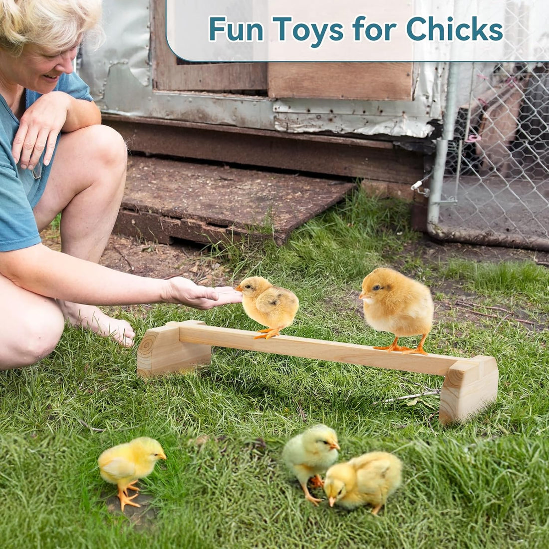 PETSFIT Chick Roosting Bar Prevent Rotation Design