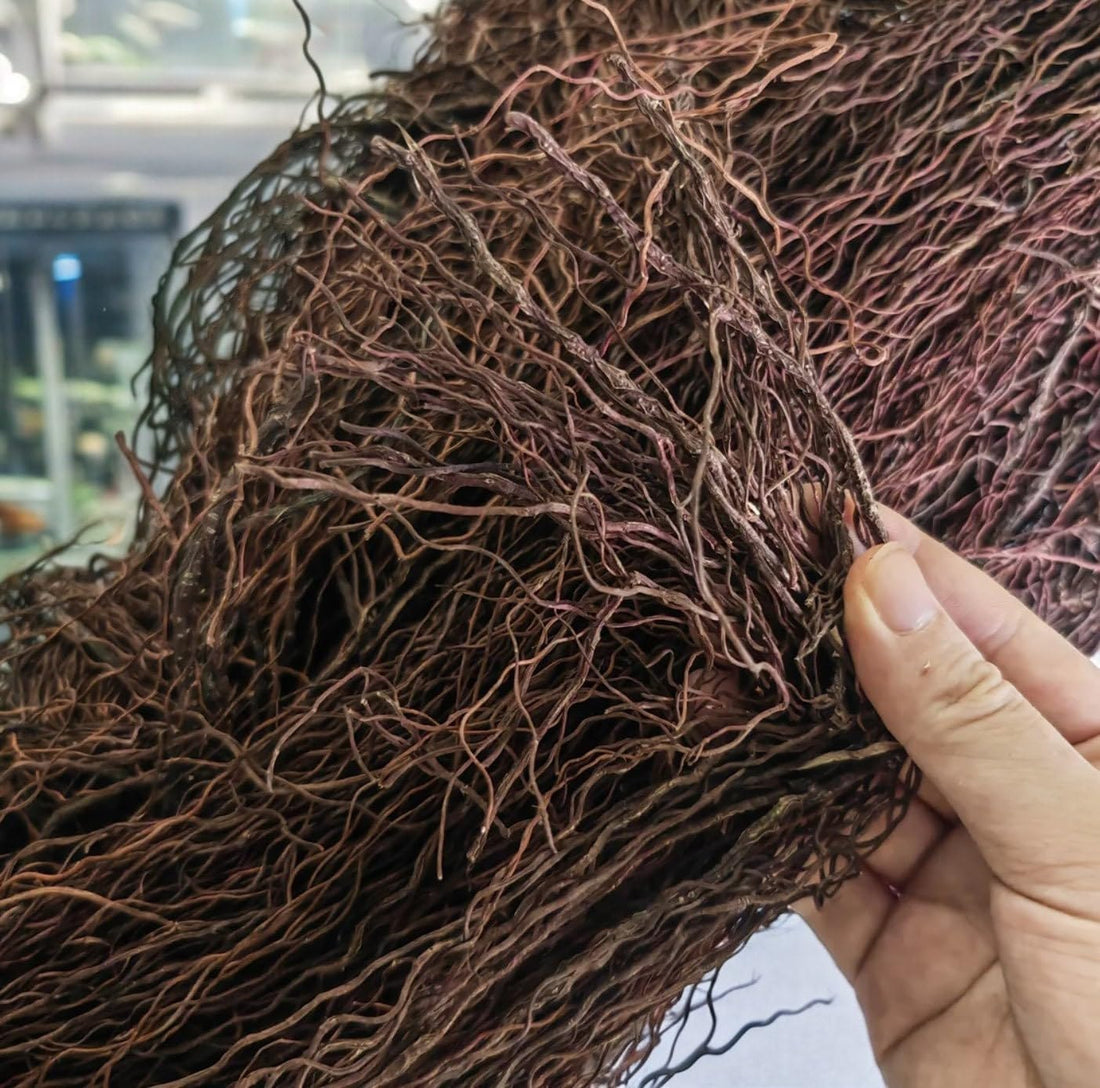 YZHZOM 160g Aquarium Driftwood Roots