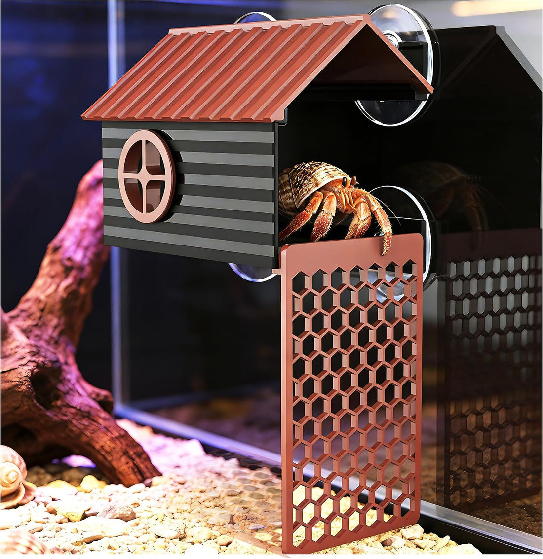 Hermit Crab Accessories | Hermit Crab Climbing Toys with Climbing Wall