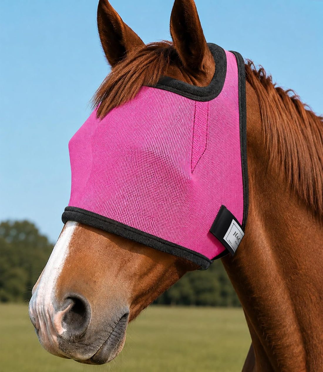 Fly Masks for Horses Without Ears, Horse Fly Mask