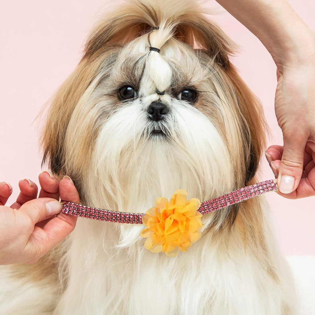 WILLBOND 30 Pcs Dog Collar Flowers Bulk for Puppy Cat Grooming