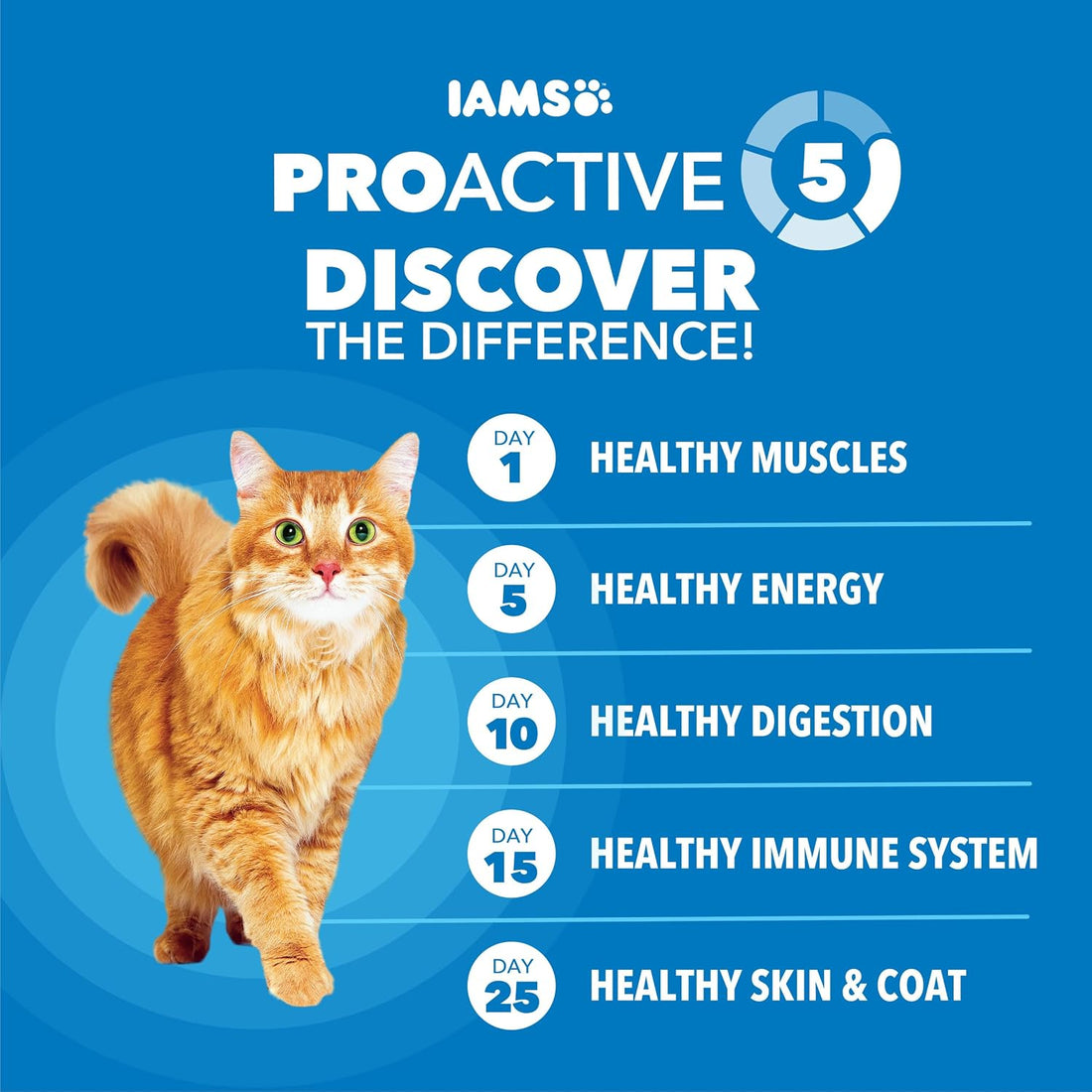 IAMS Proactive Health Healthy Weight Dry Cat Food, Chicken, 3.5 lb