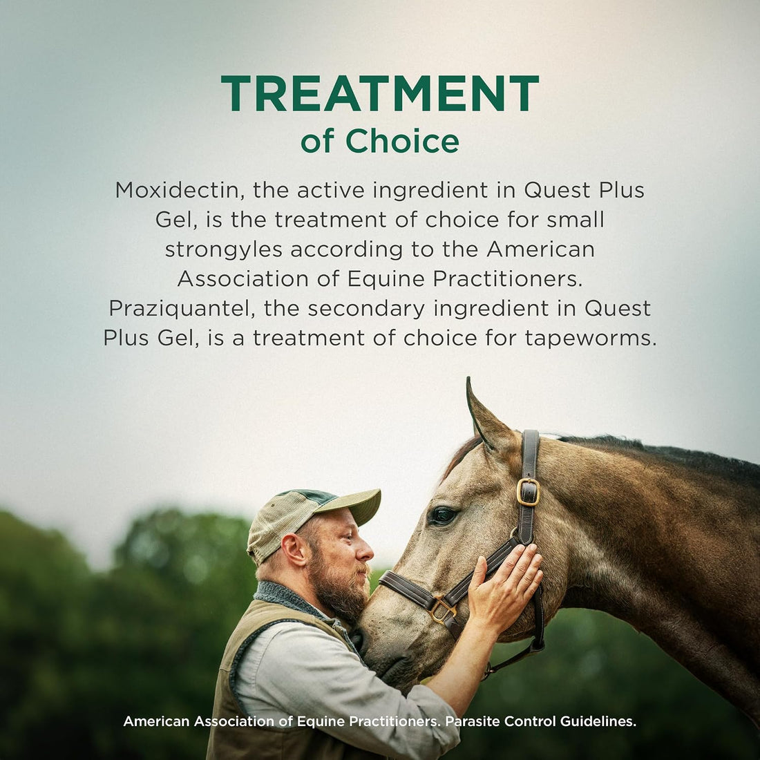 Quest Plus (moxidectin/praziquantel) Gel Dewormer for Horses, 0.5 oz