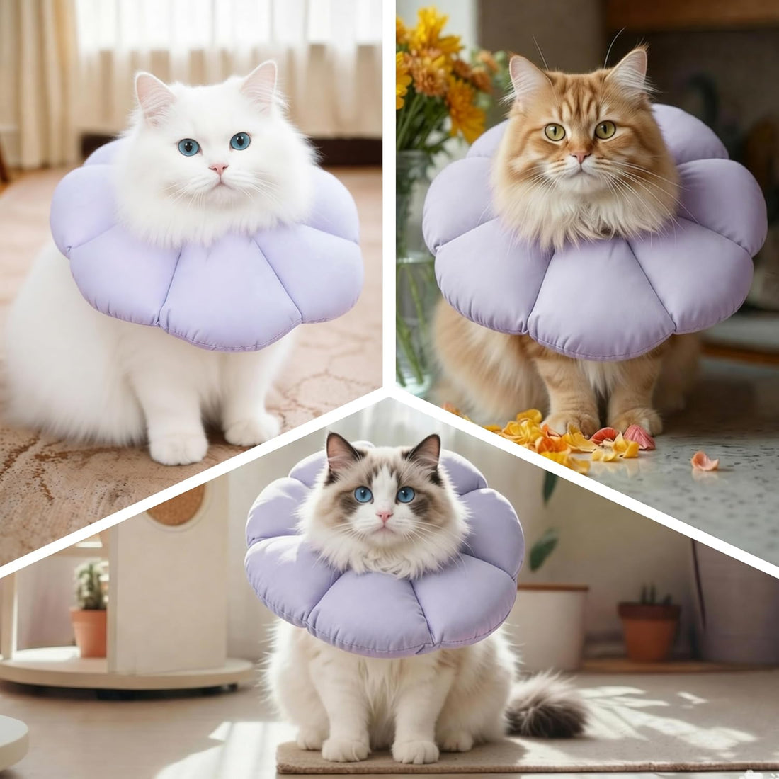 Soft Cat Cone Collar After Surgery,Cat Recovery Collar
