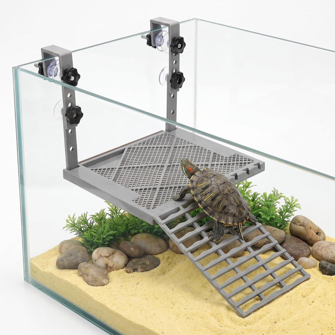 Adjustable Hanging Turtle Basking Platform with Turtle Ramp
