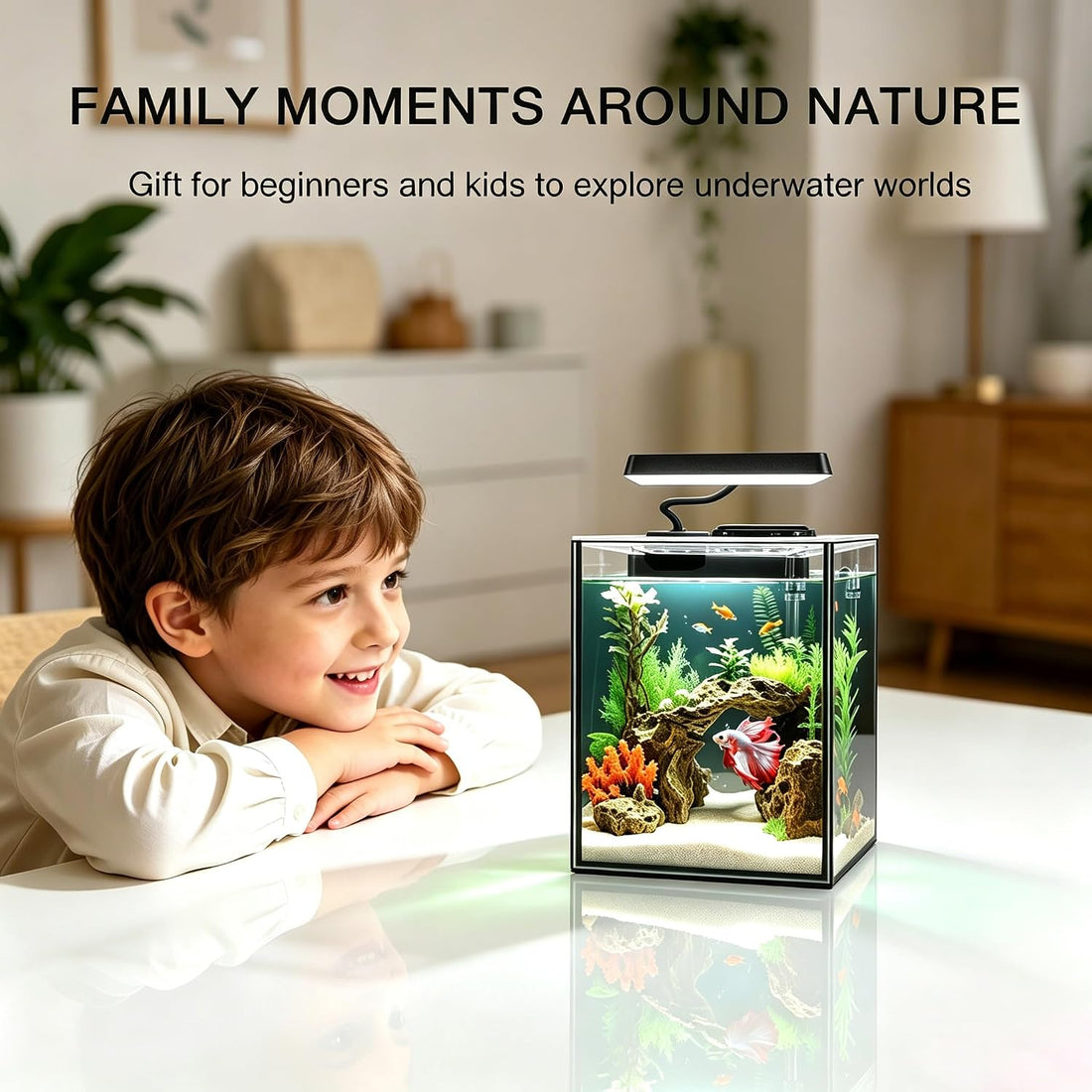 Glass Betta Aquarium Starter Kits 1.5 Gallon Small Fish Tank