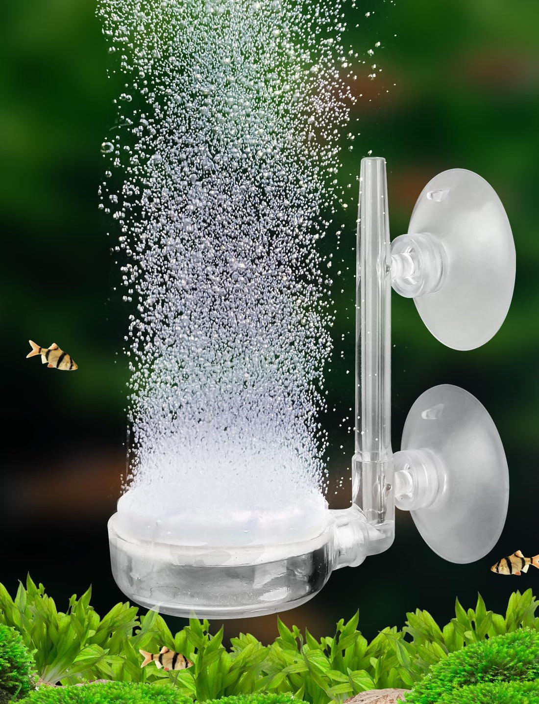 UPETTOOLS 1.4inch Nano Aquarium Air Stone Kit, Quiet Bubble Diffuser