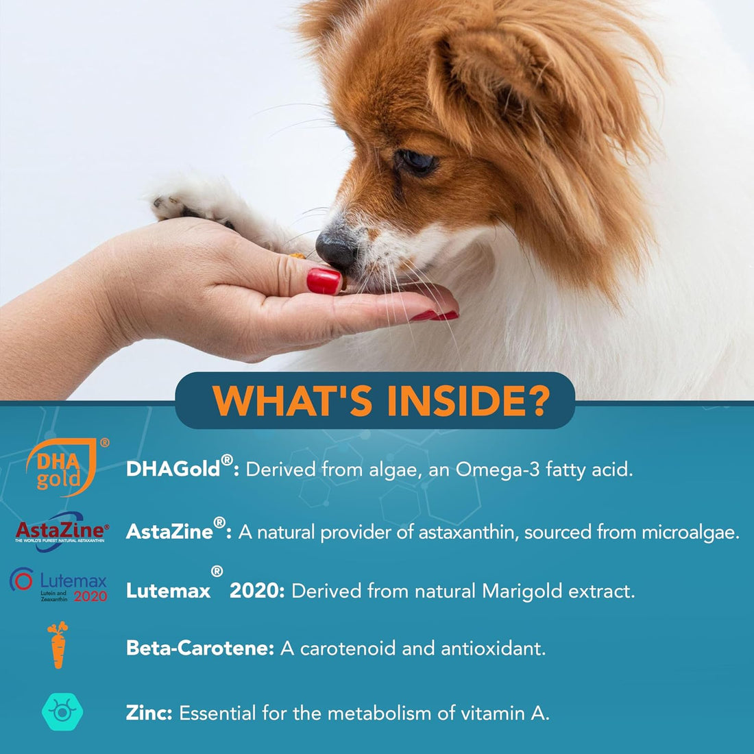 NOVEHA Eye Supplement for Dogs- Vision Support with Lutein + Vitamin