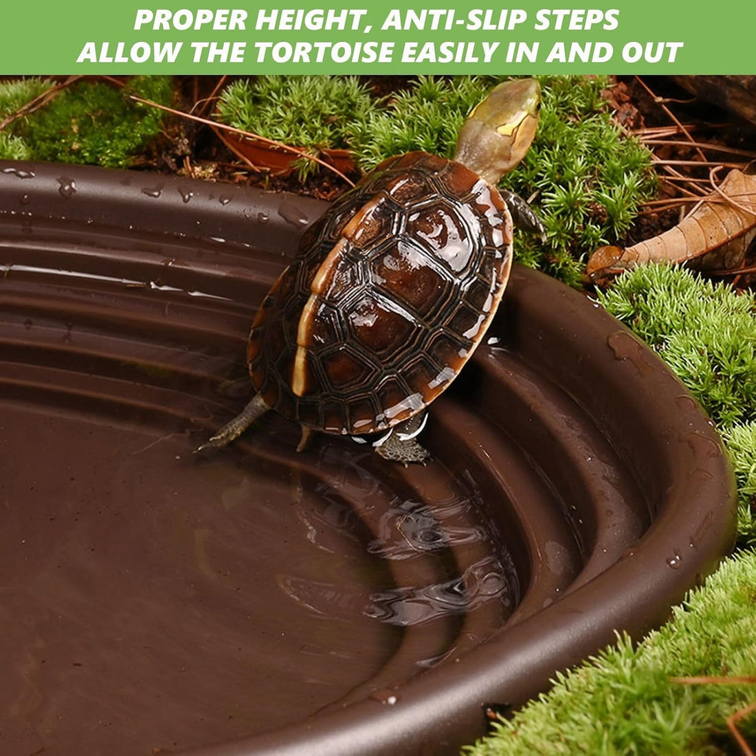 3PCS Tortoise Water Bowl with Ramp Leaf Tortoise Water Food Dish