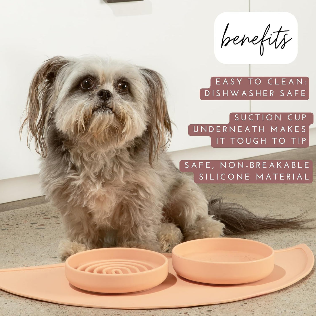 The Perfect Dish - Silicone Dog Bowl for Food & Water, 6" x 1.25"