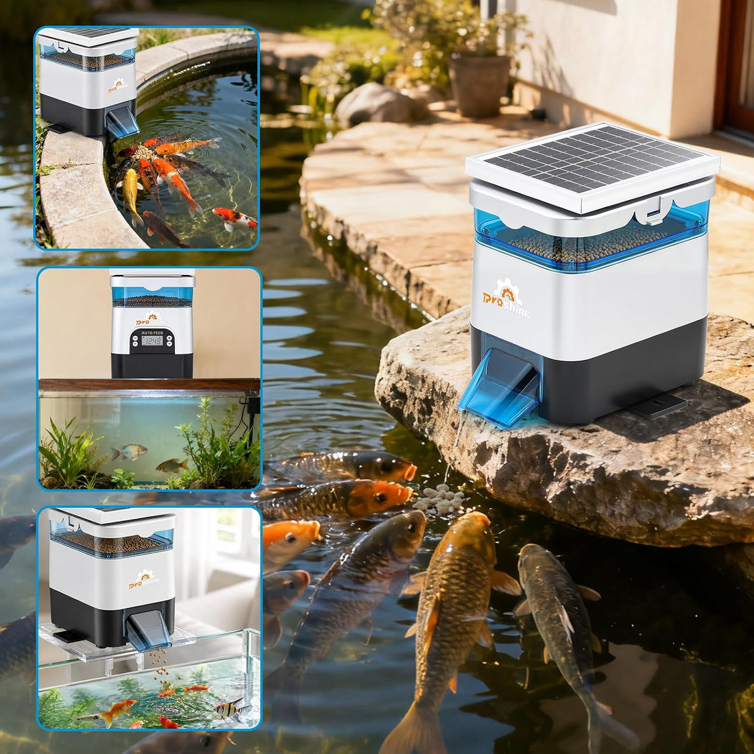 Automatic Fish Feeder for Pond Solar Powered 1.5L Capacity