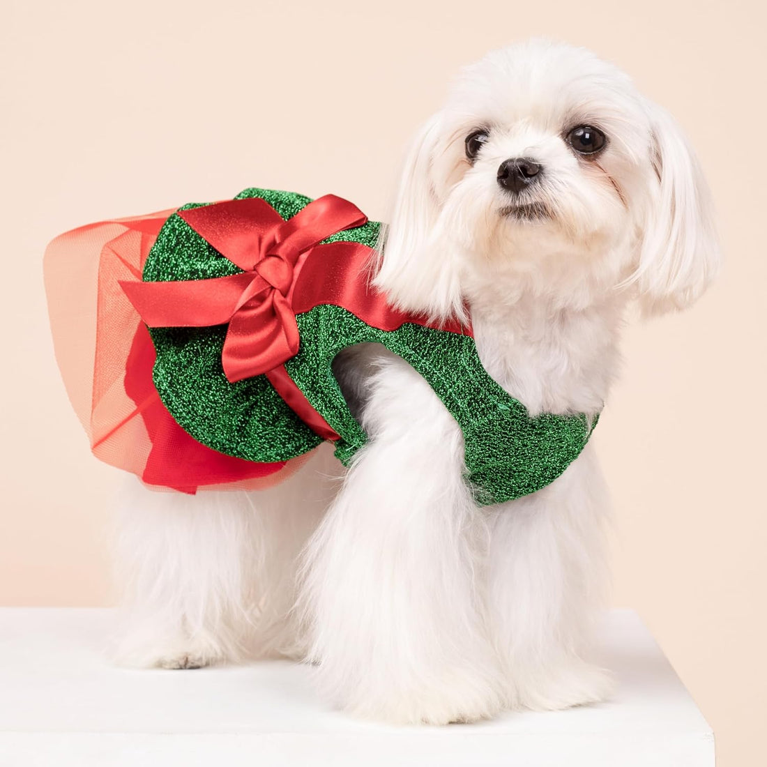 Fitwarm Cheerleader Dog Costume