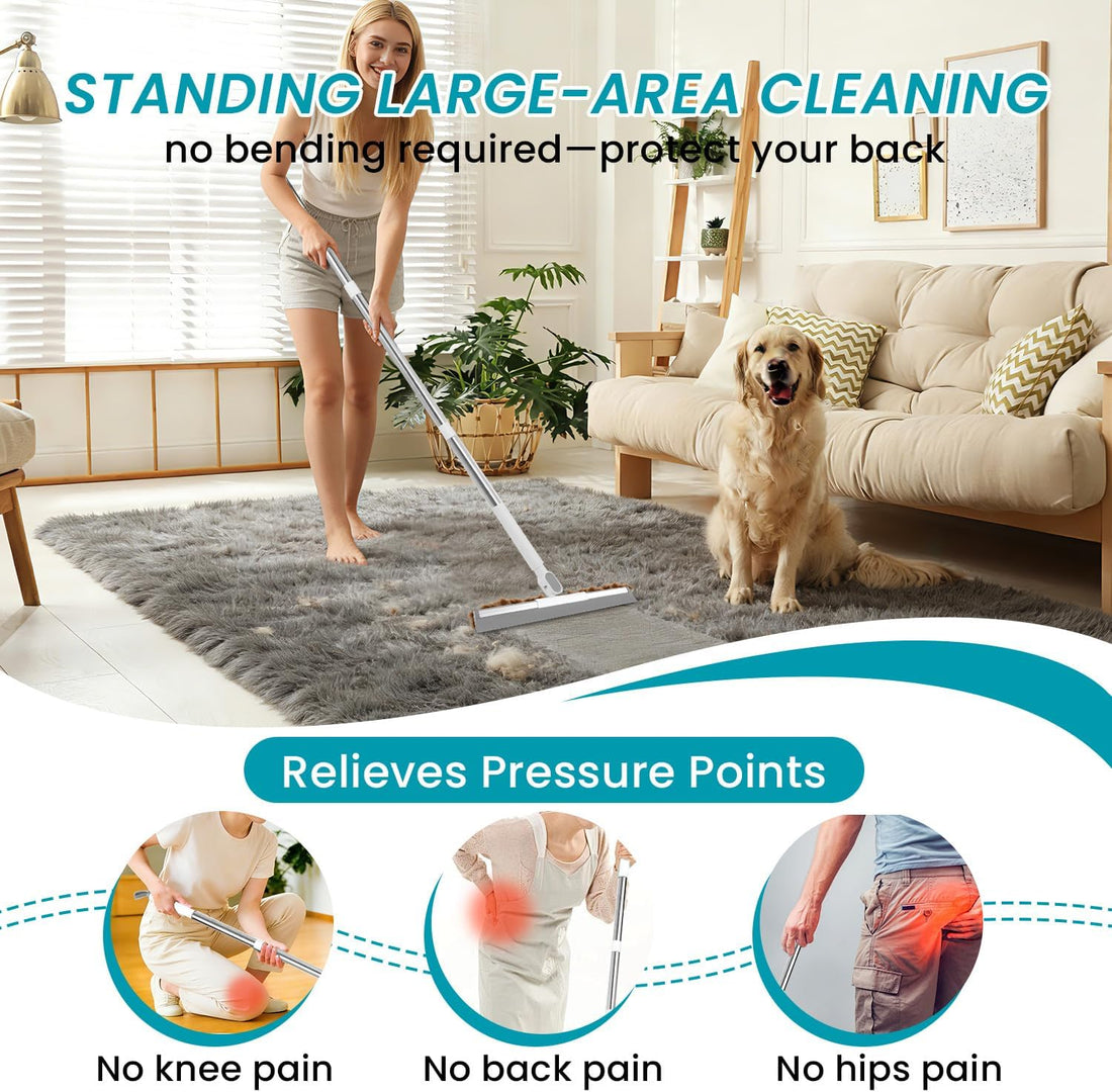 Carpet Rake for Pet Hair Removal Tool
