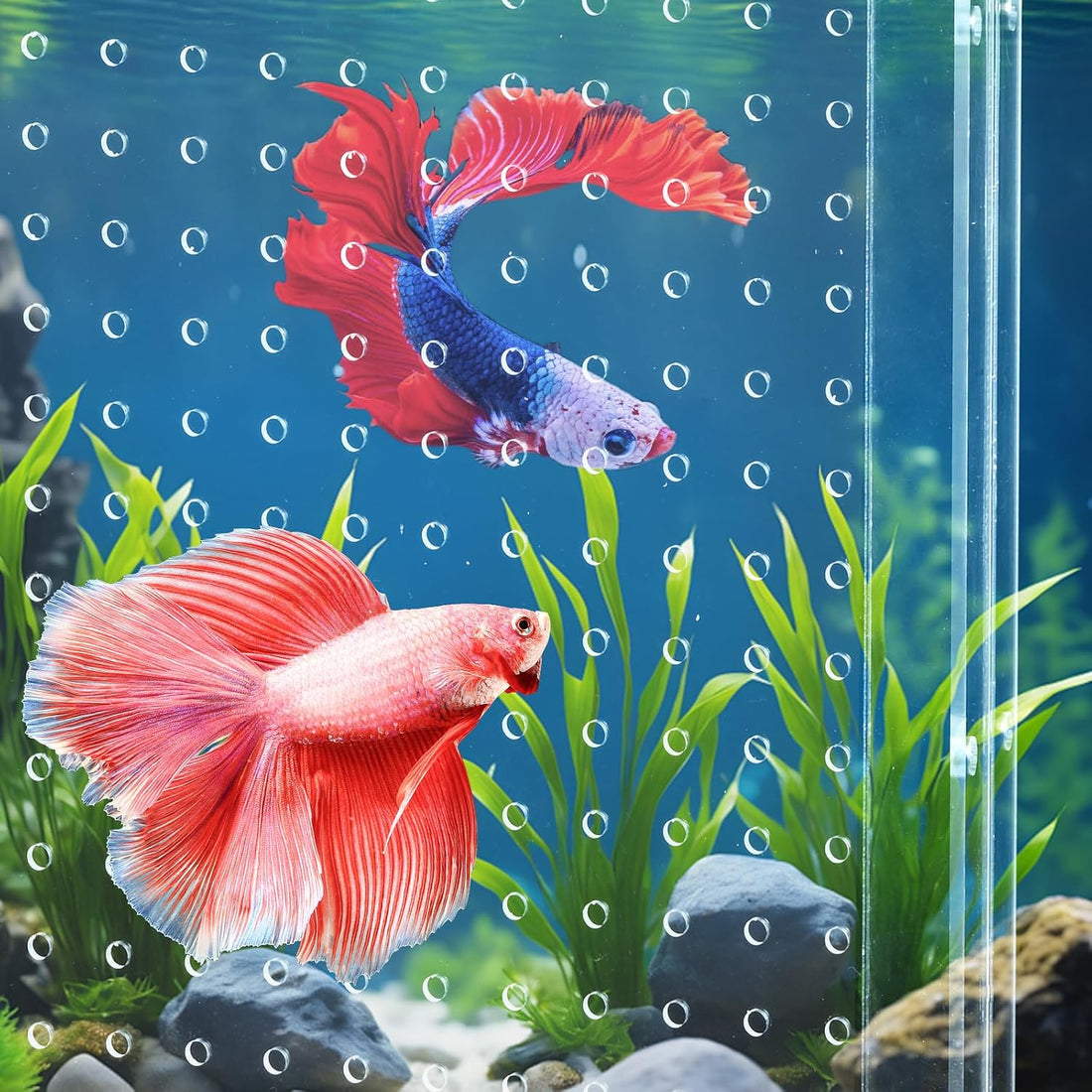 Acrylic Fish Tank Divider,10 Gallon Tank Divider,Adjustment Clear