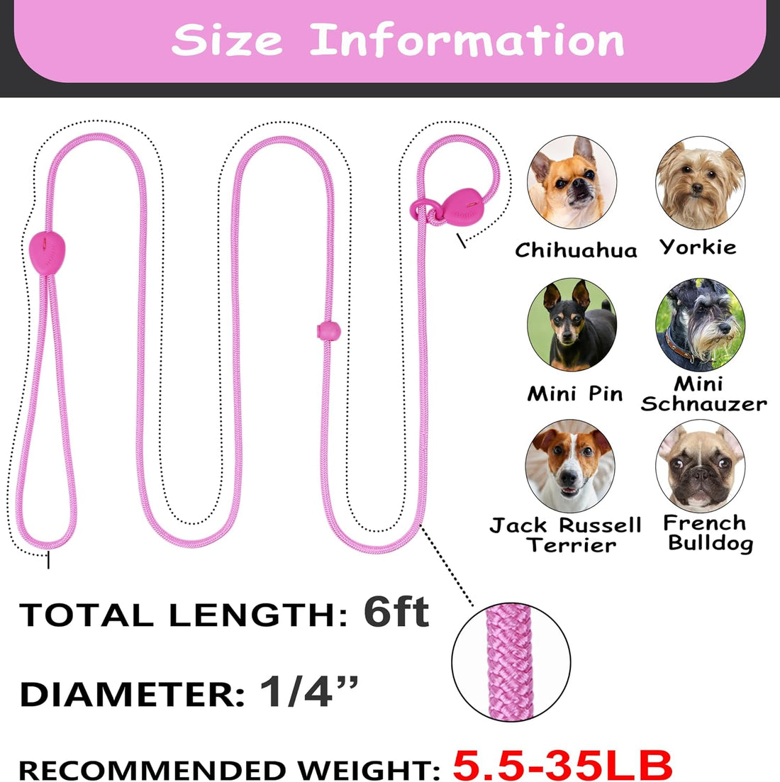 6FT Dog Training Leash - Slip Lead for Small & Medium Dogs - Strong
