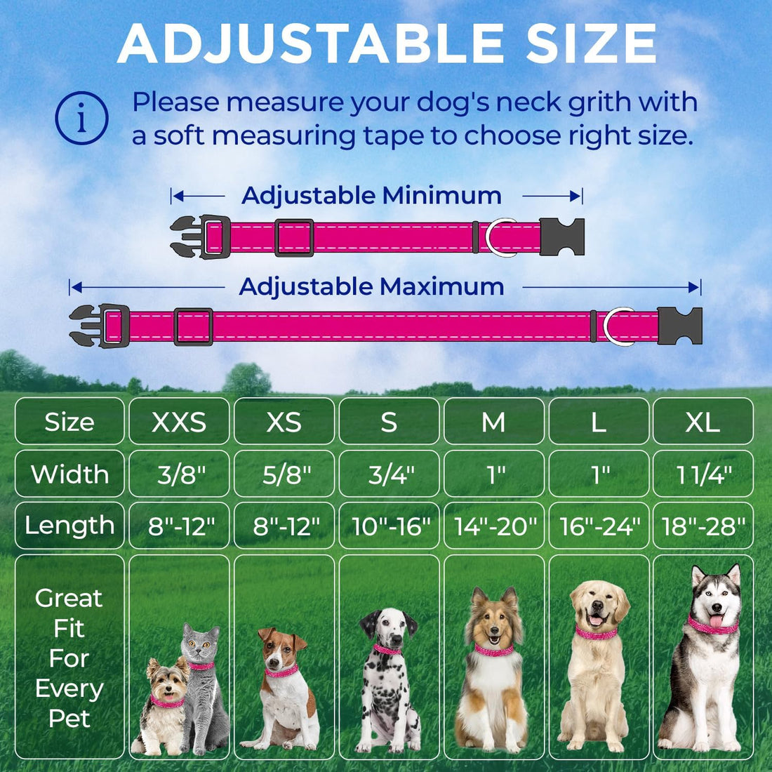 TECEUM Reflective Dog Collar – Hot Pink – M – Extra Soft Padding