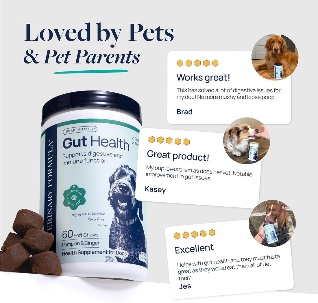 Veterinary Formula Smart Vitality Gut Health Soft Chews for Dogs