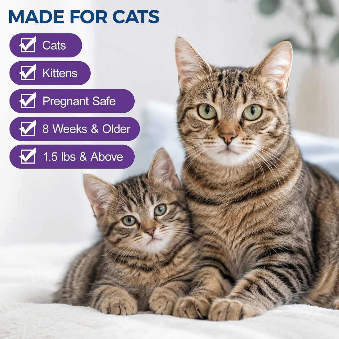 Topical Flea and Tick for Cats & Kitten Over 1.5 lbs and 8 Weeks