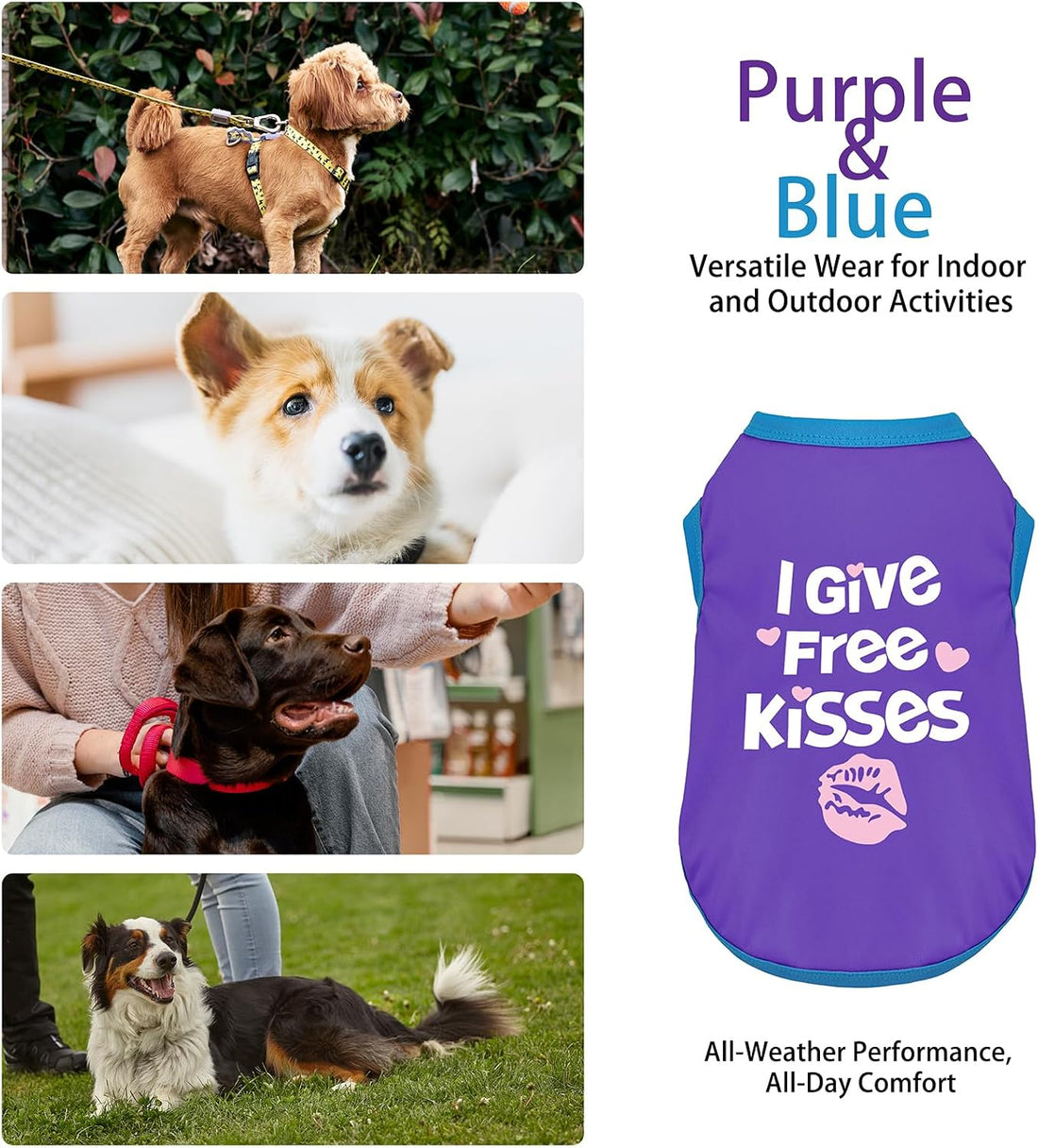 Color-Blocked Dog Tank Top with Playful Heat Transfer Designs