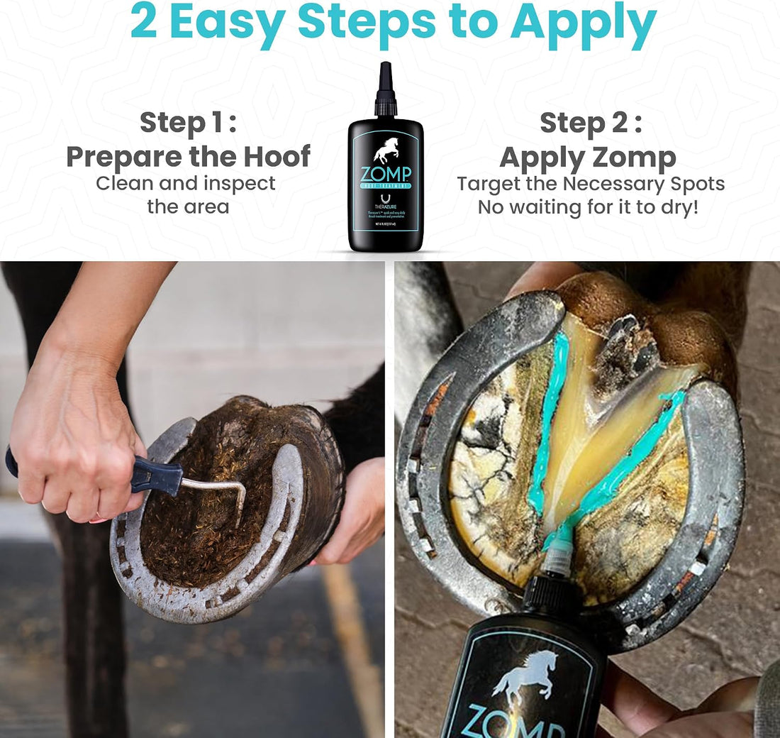 Zomp Liquid Hoof Thrush and White Line Treatment for Horses