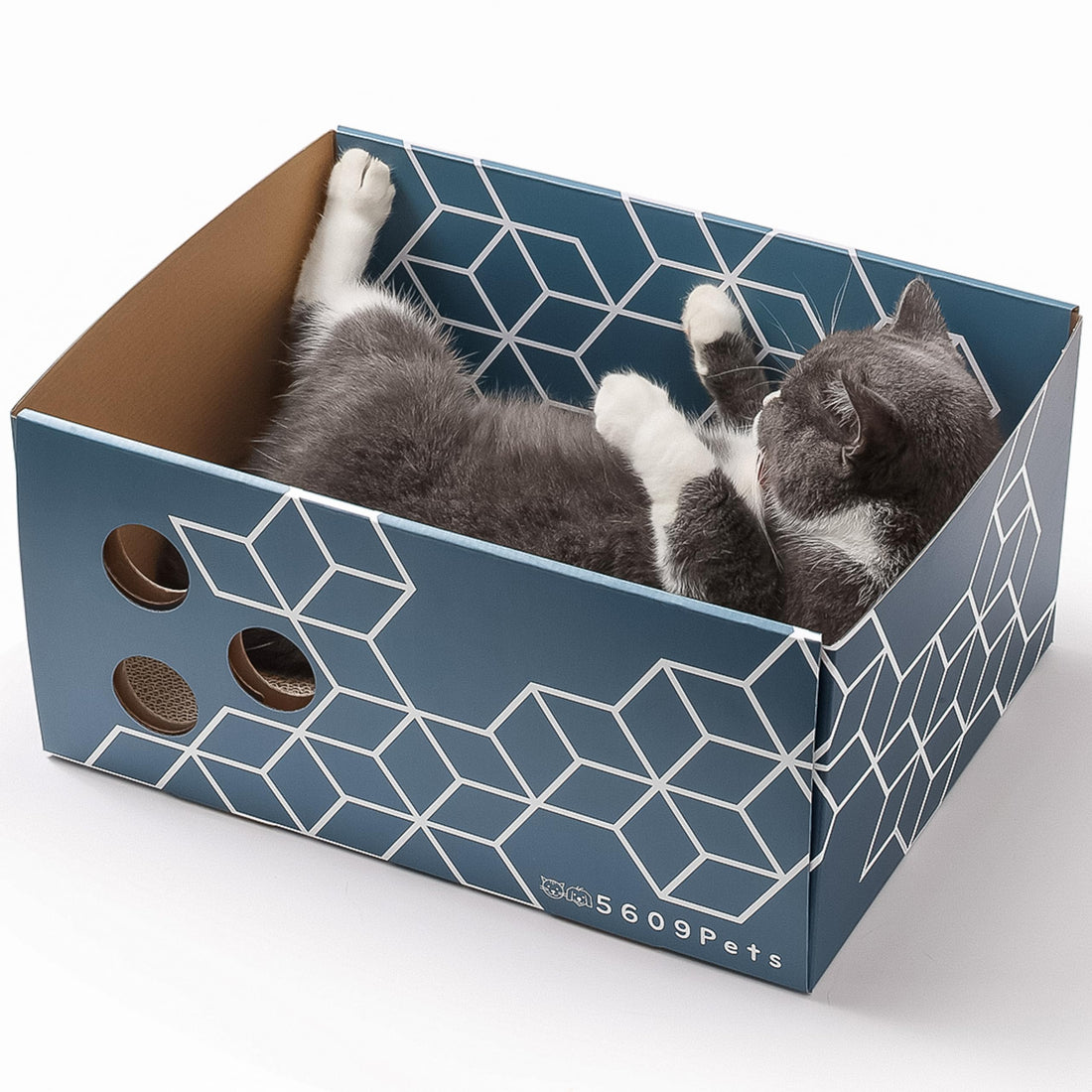 5609PETS Cat Scratching Box, Extra Large Refillable Double-Sided