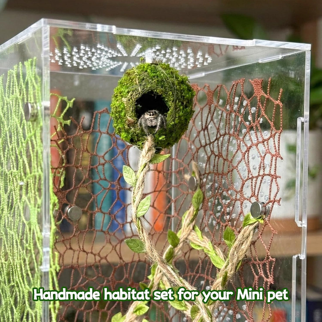 Magnetic Jumping Spider Accessories-Moss Hideout with Rope & Bridge