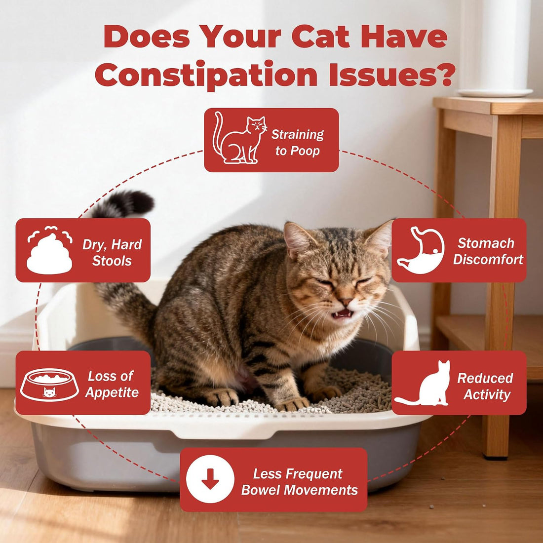 Cat Constipation Stool Softener, Natural and Gentle Formula