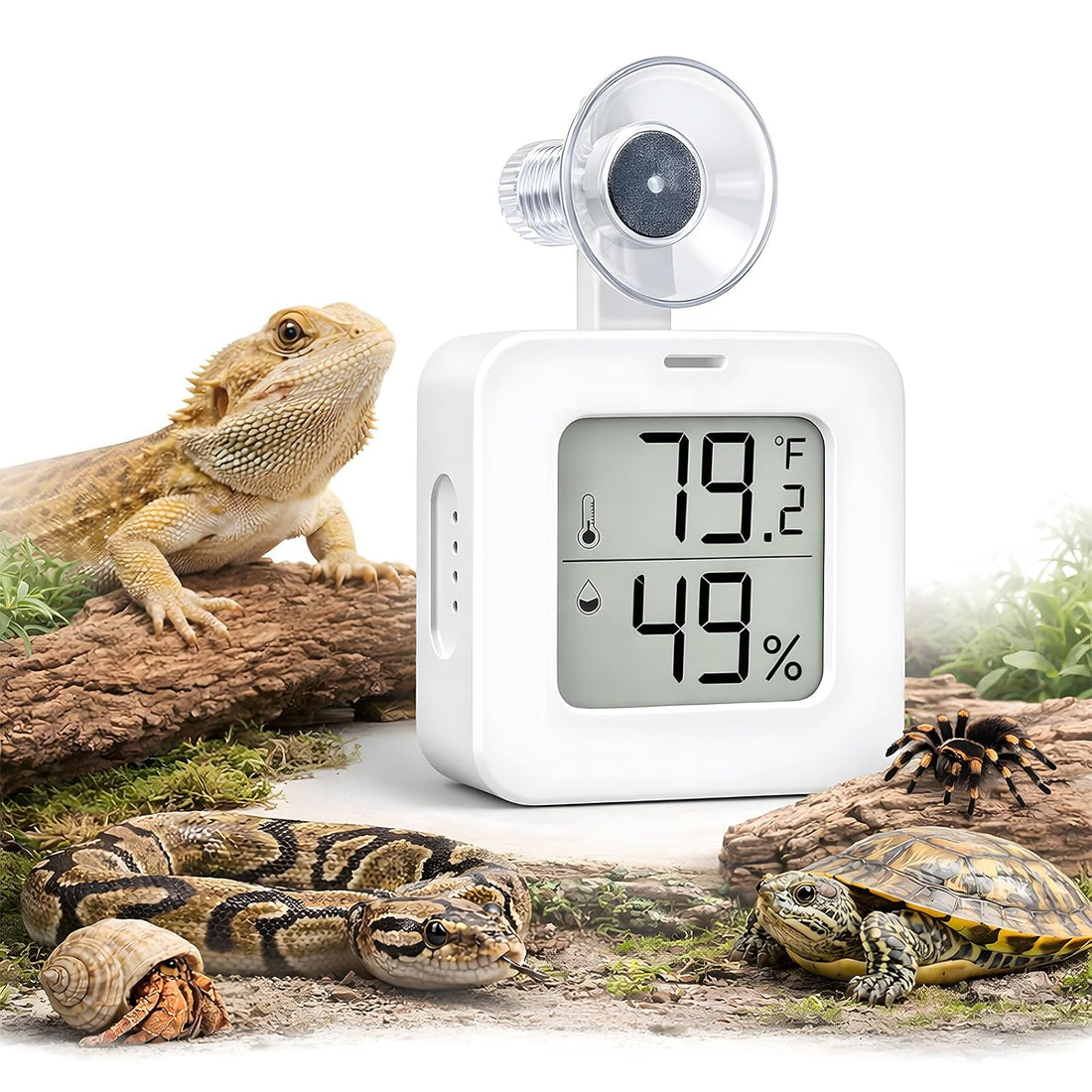 Suction Cup Reptile Thermometer Hygrometer,Large Screen °F/°C