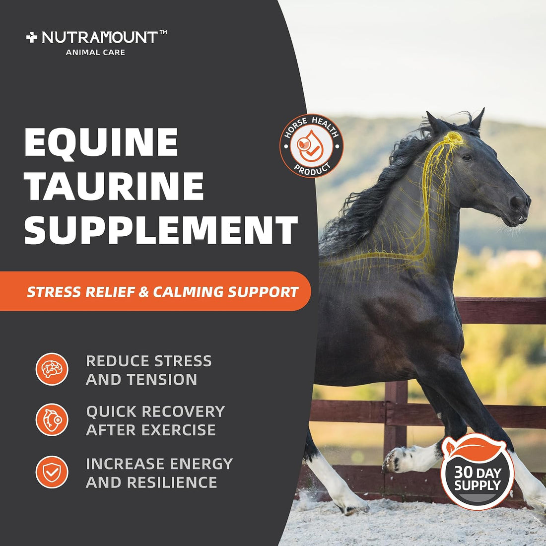 Horse Taurine Supplement Powder for Performance & Nerve Support