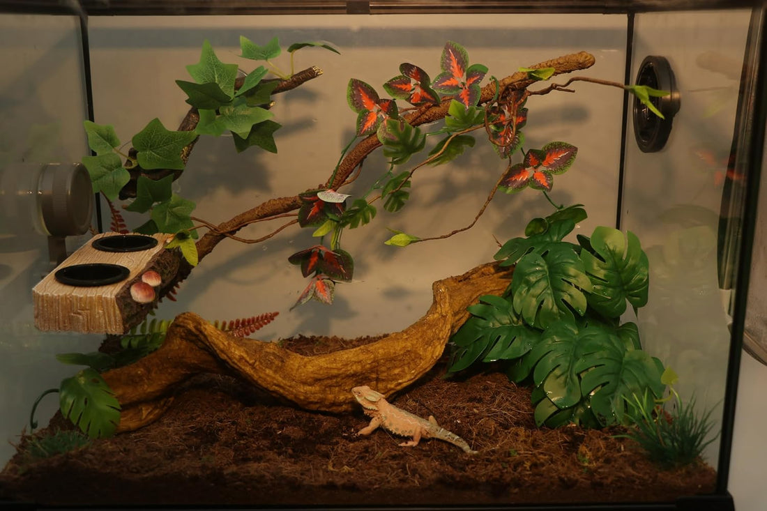 AQUA KT Reptile Bent Climber Terrarium Branch for Lizard Snake