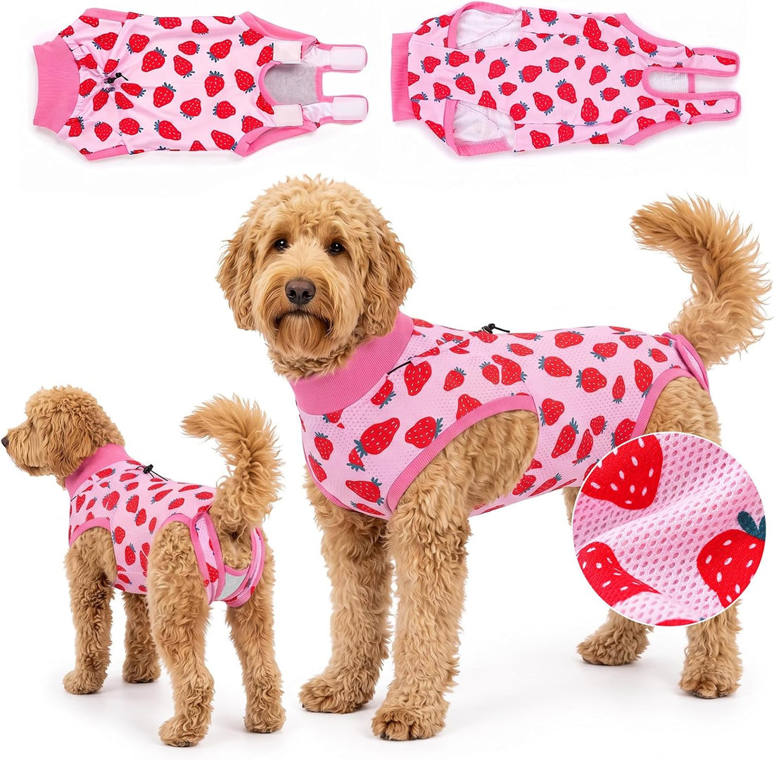 Glittme Dog Surgery Recovery Suit with Breathable Mesh for Female